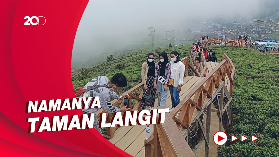 Lagi Stres? Bisa Nikmati Kebun Teh dan Samudera Awan di Bandung