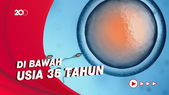 Usia Wanita yang Hasilnya Bisa Optimal Jalani Pembekuan Sel Telur