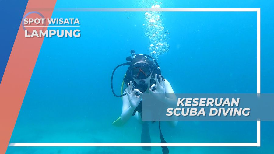 Tegal Mas Island, Menikmati Indahnya Surga Bawah Laut yang Menakjubkan, Lampung
