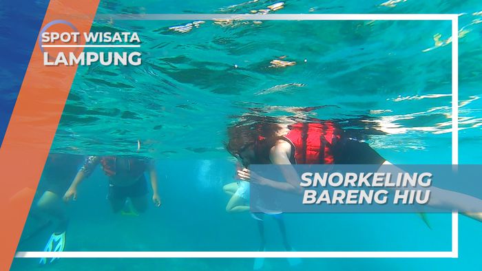 Tegal Mas Island, Snorkeling Cantik Mengintip Keindahan Bawah Laut, Lampung