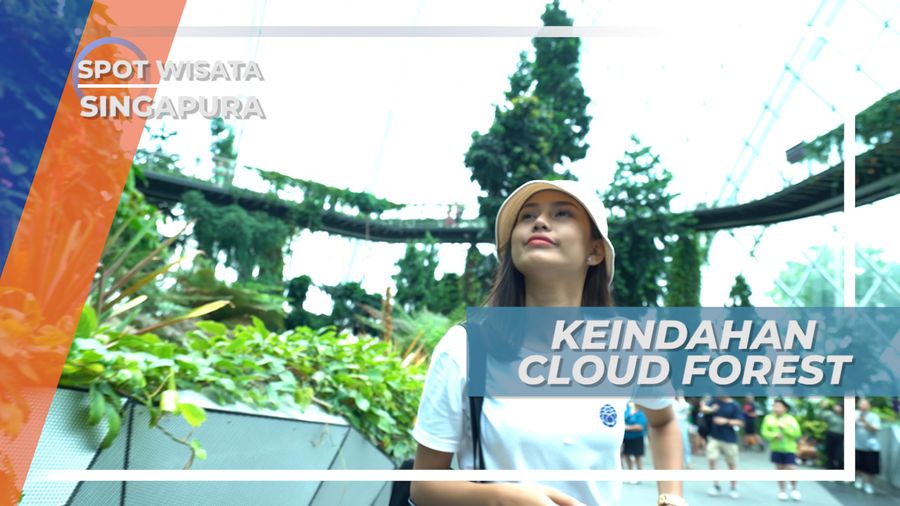Indahnya Kubah Besar di Tengah Kota Berisi Jutaan Tanaman, Singapura