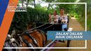 Asiknya Mengelilingi Taman, Dengan Naik Delman Mini, Tangerang
