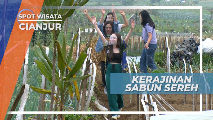 Menikmati Udara Sejuk Persawahan Menuju Desa Pembuat Sabun Sereh, Cianjur