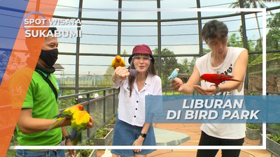 Berinteraksi Dengan Burung-Burung Lucu yang Menggemaskan di Bird Park, Sukabumi