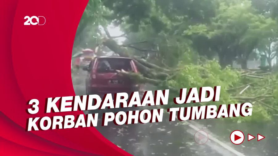 Hujan Angin Terjang Ciamis, Belasan Pohon Tumbang Timpa Kendaraan!