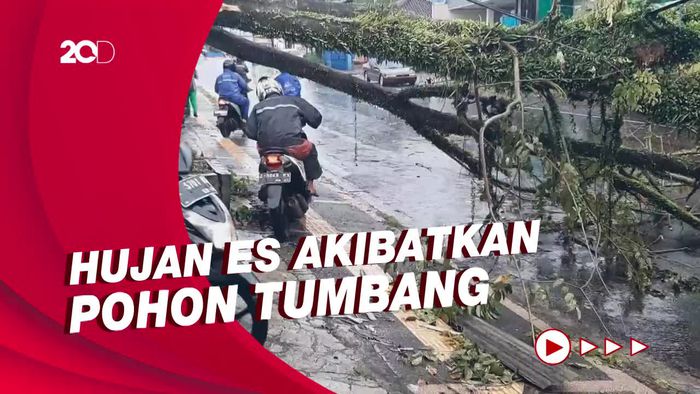 Tasik Dilanda Hujan Es-Angin Kencang, Pohon Tumbang Timpa Jalur Utama