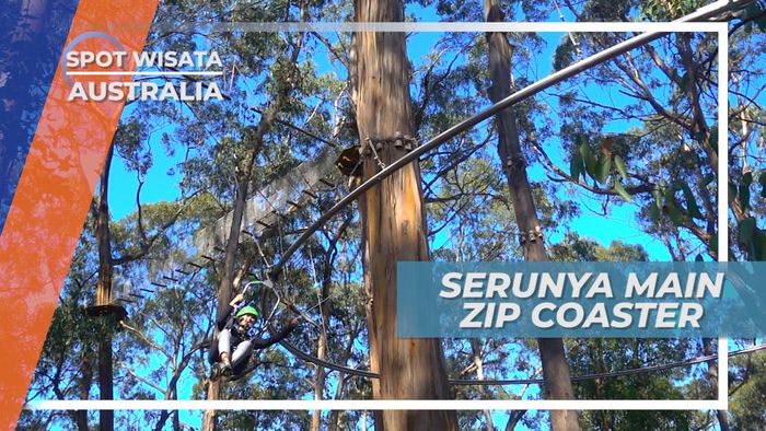 Zip Coaster, Serunya Meluncur di Lintasan Roller Coaster , Australia