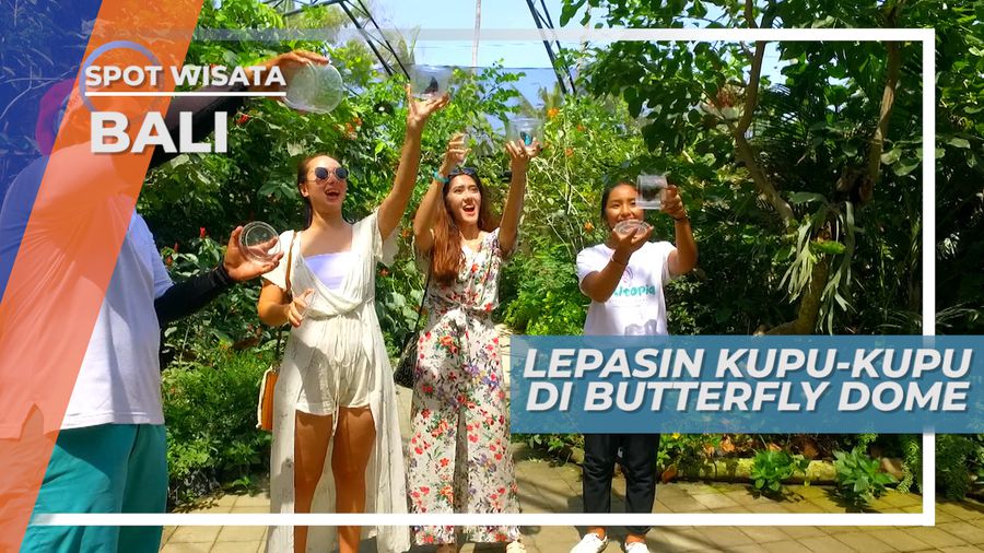 Mengunjungi Habitat Kupu-kupu di Butterfly Dome, Bali