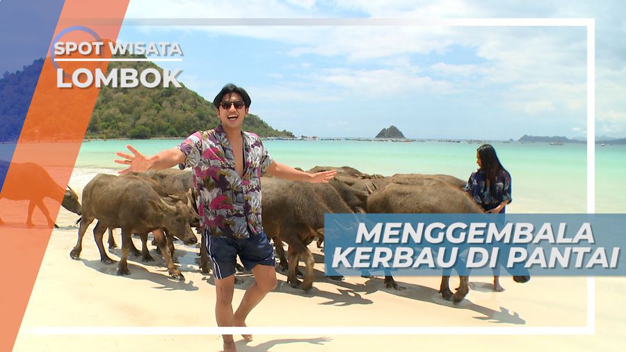 Bertemu Penggembala Kerbau di Pantai Selong Belanak Lombok