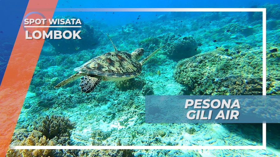Panorama Keindahan Alam Laut Gili Air Lombok