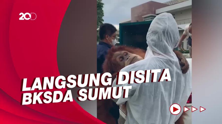Isi Brankas Bupati Langkat: Usai Kerangkeng, Kini 7 Hewan Langka