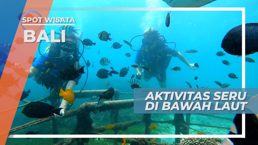 Keseruan Scuba Diving dan Pemandangan Bawah Laut, Bali