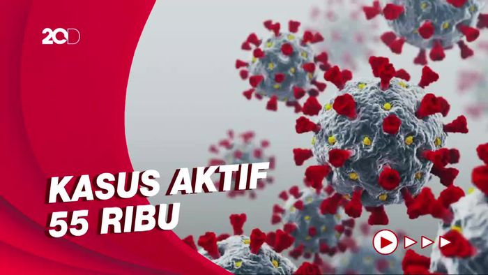 Covid-19 RI 29 Januari Tambah 11.588 Kasus Kasus!