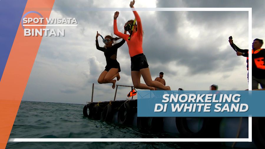 Snorkeling, Mengintip Indahnya Surga Bawah Laut White Island, Bintan
