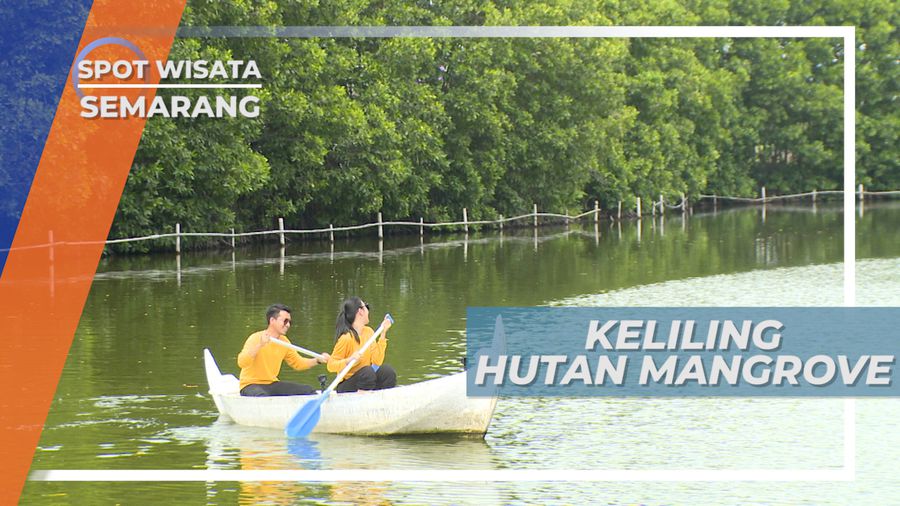 Berperahu Menyusuri Hutan Mangrove Taman Wisata Puri Maerokoco Semarang
