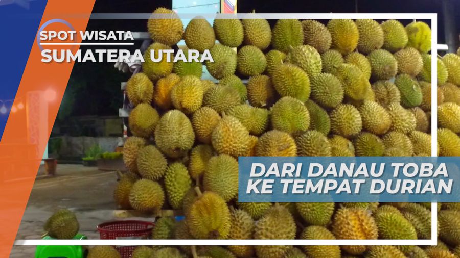 Berkunjung ke Tempat Durian Khas Medan, Sumatera Utara