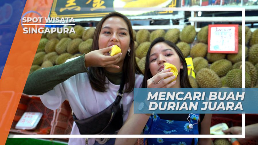 Musang King, Durian Lezat Dengan Daging Tebal dan Nikmat, Singapura
