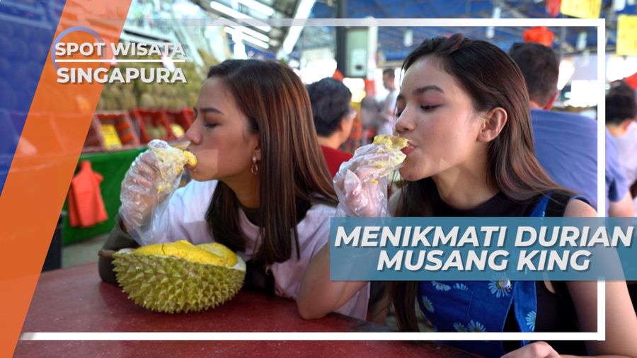 Menikmati Kelezatan Musang King, Durian Ternama di Singapura