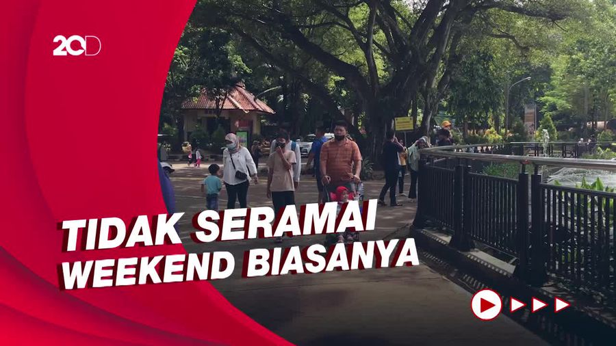 Libur Imlek, Taman Margasatwa Ragunan Sepi Pengunjung
