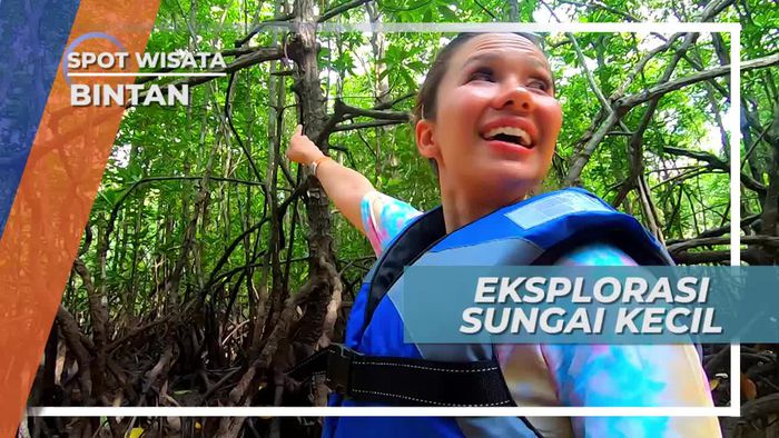Wisata Mangrove, Menjelajahi Kanal Kecil Di Antara Hutan Bakau di Pulau Bintan