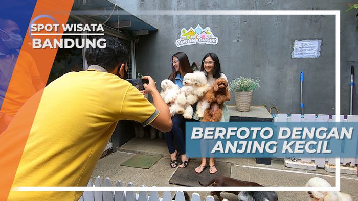 Cekrak-cekrek Ambil Gaya, Berpose Dengan si Anjing Lucu, Bandung