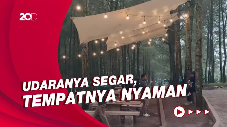 Ngopi di Tengah Hutan Pinus Garut, Asyik Buat Healing!