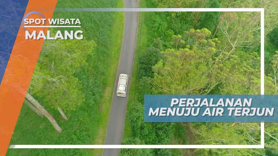 Ber-VW Combi Ria Menembus Hutan, Bercengkrama dengan Alam Menuju Coban Rondo di Malang