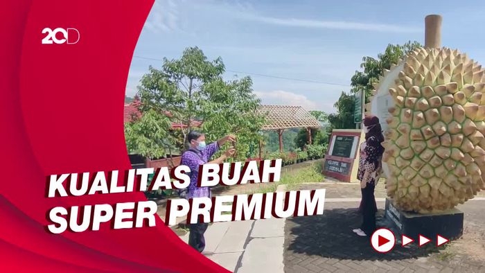 Embung Tonogoro di Kulon Progo Disulap Jadi Kawasan Kebun Buah