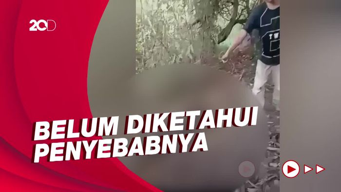 Penemuan Mayat Membusuk Tanpa Kepala Gegerkan Warga Purwakarta