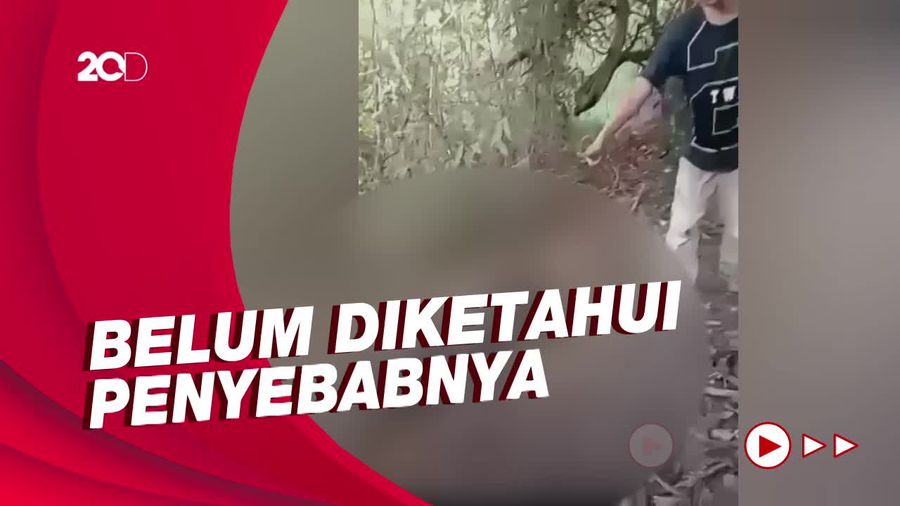 Penemuan Mayat Membusuk Tanpa Kepala Gegerkan Warga Purwakarta