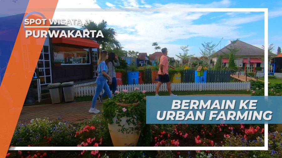 Mengunjungi Destinasi Wisata Dengan Suasana Perkebunan yang Instagramable, Purwakarta