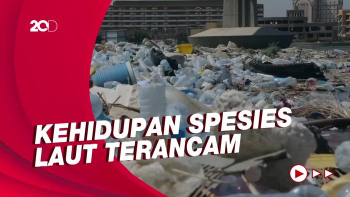 WWF Prediksi Polusi Plastik di Lautan Dunia Naik 4x Lipat pada 2050