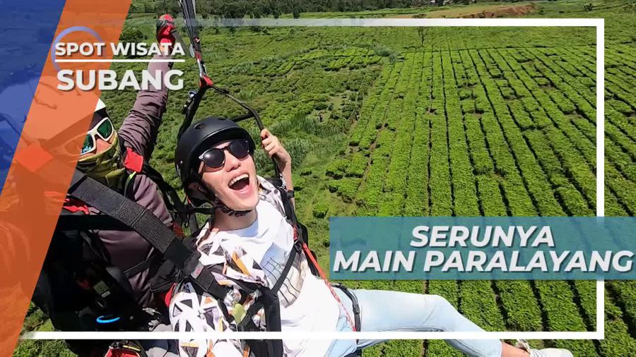 Paralayang, Melayang Jauh Melintasi Panorama Indah di Atas Perkebunan Sagalaherang Subang 