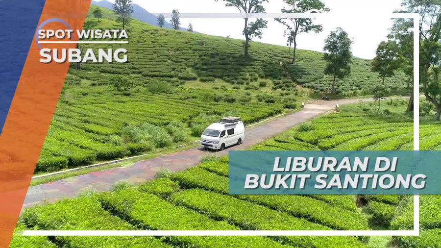 Berlibur dengan Campervan di Dataran Tinggi Perkebunan Teh Sagalaherang Subang 