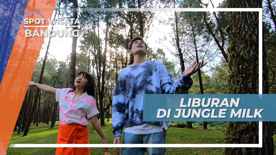 Liburan Seru Menikmati Sejuknya Udara Diantara Rindangnya Pohon Pinus, Bandung