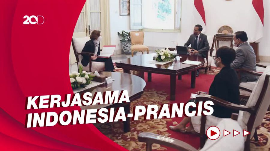 Jokowi Jamu Menhan Prancis, Bahas Rafale hingga Pencak Silat