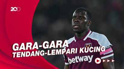Video Tendang Kucingnya Viral, Kurt Zouma Ditinggal Adidas