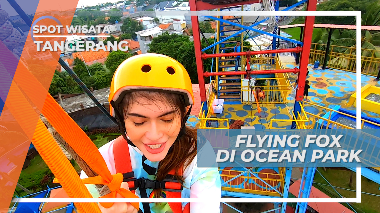 Helm flying fox top