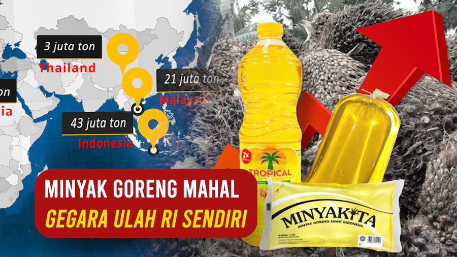 Ironi Negeri Kaya Sawit, Cari Minyak Goreng Saja Sulit
