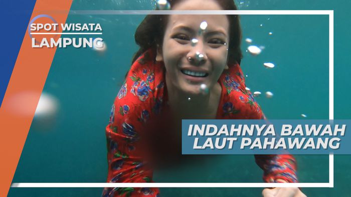 Menikmati Bawah Laut Pulau Pahawang Lampung yang Berair Jenih