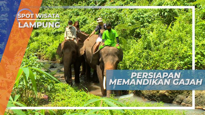 Bersiap Memandikan Gajah Lembah Hijau di Kota Bandar Lampung