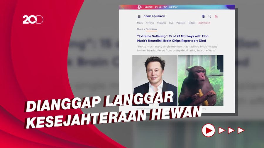 Komite Dokter AS Laporkan Uji Chip Otak Elon Musk Menewaskan 15 Monyet