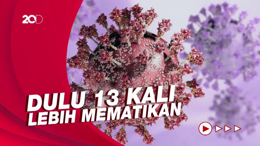 Luhut: Omicron Diprediksi Hanya 2 Kali Lebih Mematikan dari Flu Biasa