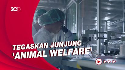 Pernyataan Neuralink soal Laporan 15 Monyet Mati Usai Ditanami Chip Otak