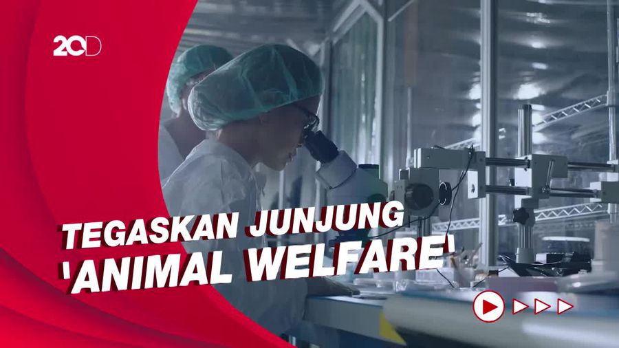 Pernyataan Neuralink soal Laporan 15 Monyet Mati Usai Ditanami Chip Otak