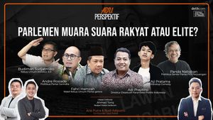Adu Perspektif: Nyanyian Fahri Memekakakkan Telinga DPR