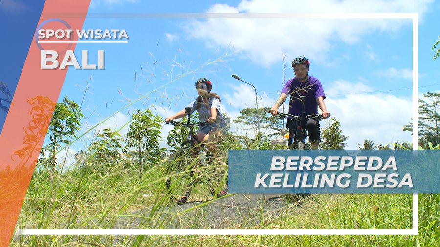Bersepeda Keliling Desa Menikmati Panorama Hamparan Sawah nan Hijau, Bali