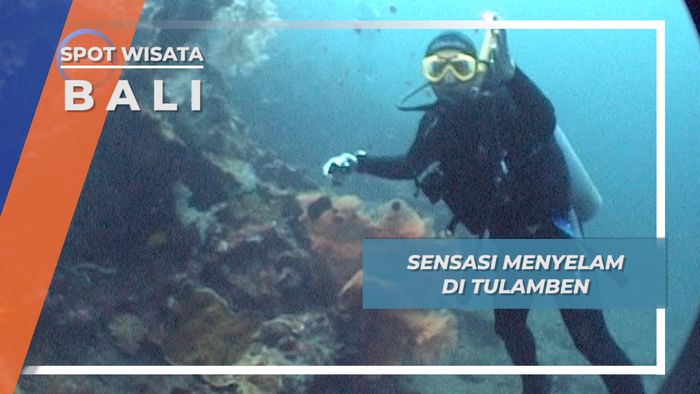 Menjelajahi Indahnya Surga Bawah Laut Tulamben, Bali
