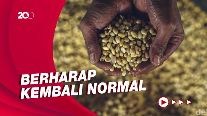 Harga Kedelai Naik Bikin Tahu-Tempe Langka: Pembeli Bingung, Pedagang Rugi