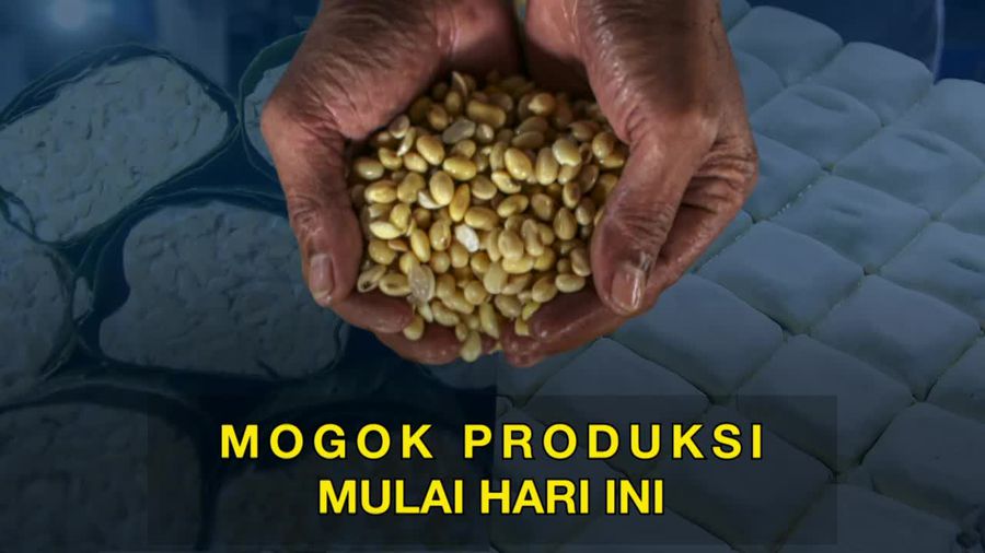Harga Kedelai Bikin Perajin Tempe Mogok Produksi, Pemerintah Punya Solusi?